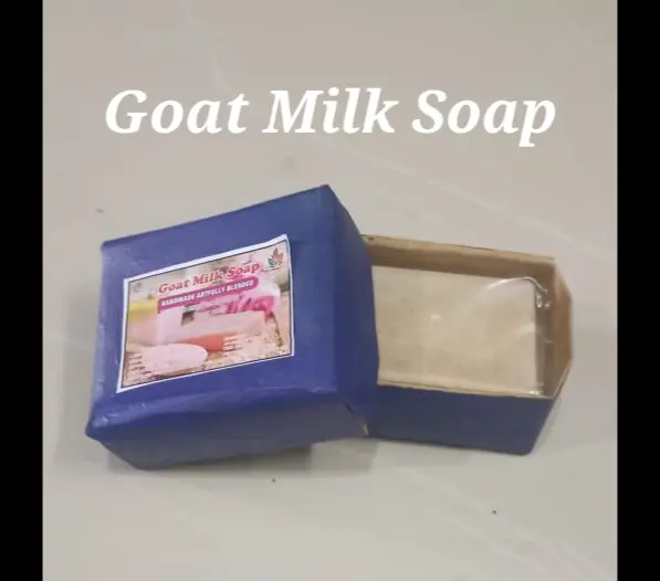 GOAT MILK SOAP (Pack of 3)